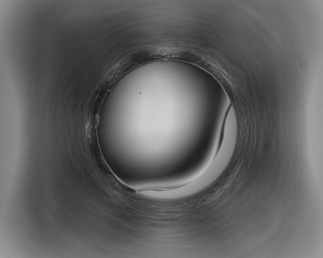 X0000116510597200912161340