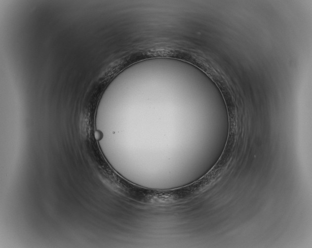 X0000116510599200912161340