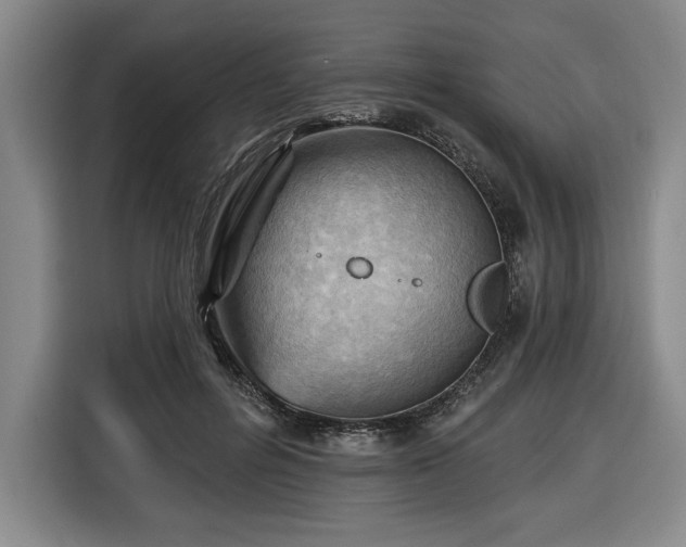 X0000116510600200912161340