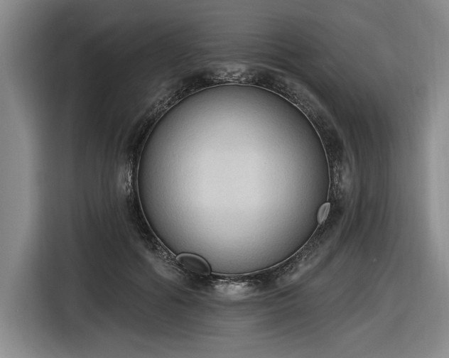 X0000116510602200912161340