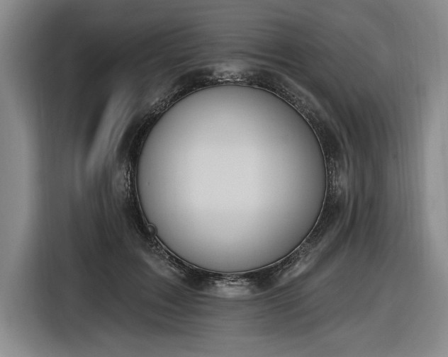 X0000116510603200912161340