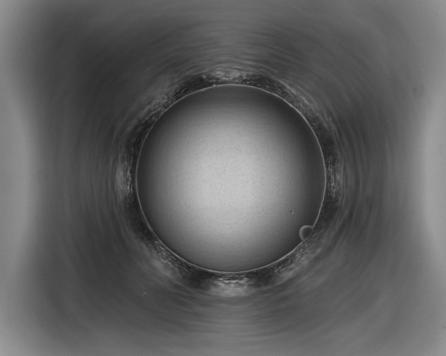 X0000116510606200912161340