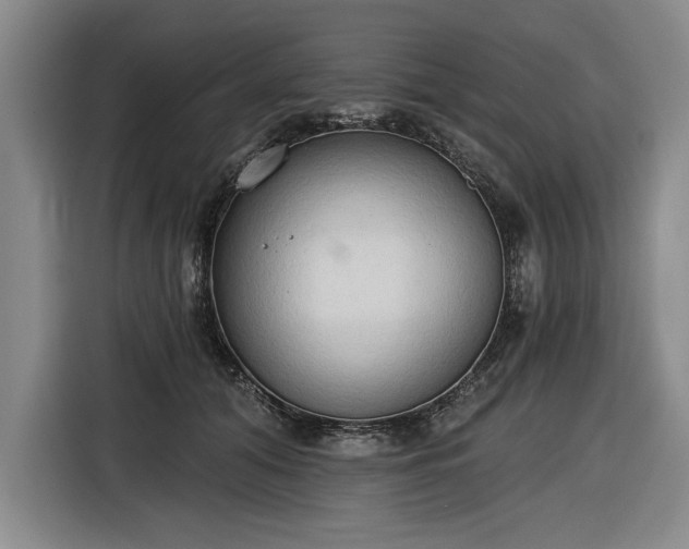 X0000116510608200912161340