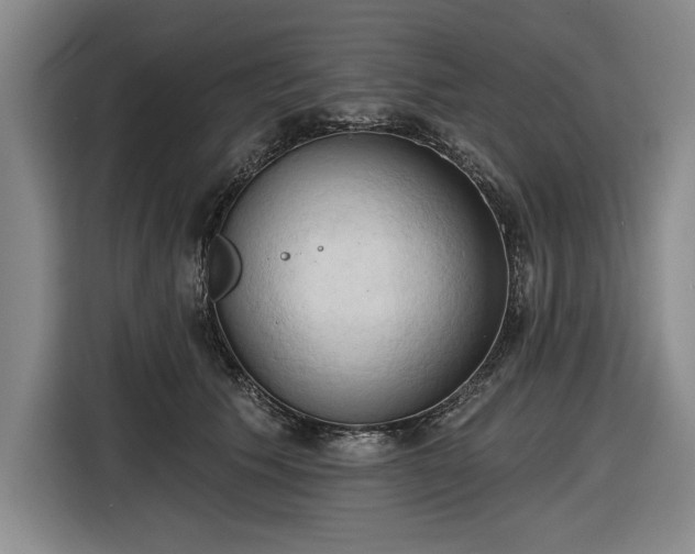 X0000116510609200912161340