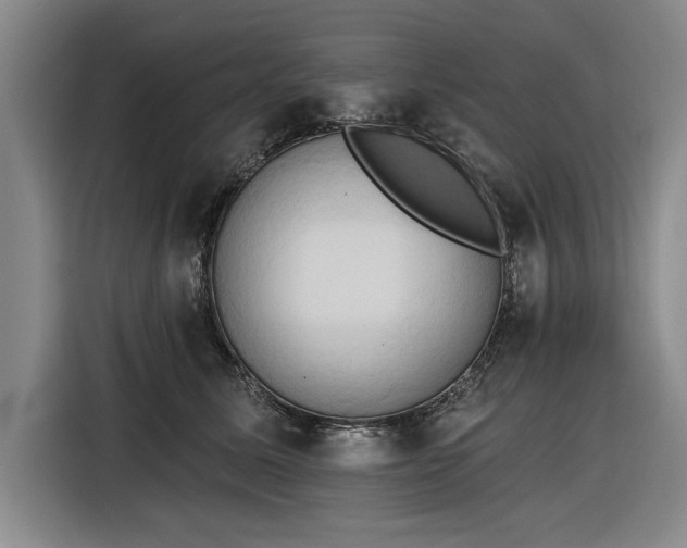 X0000116510611200912161340