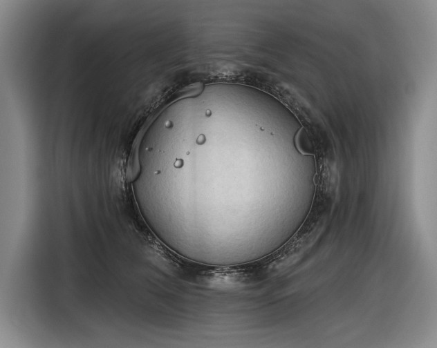 X0000116510612200912161340