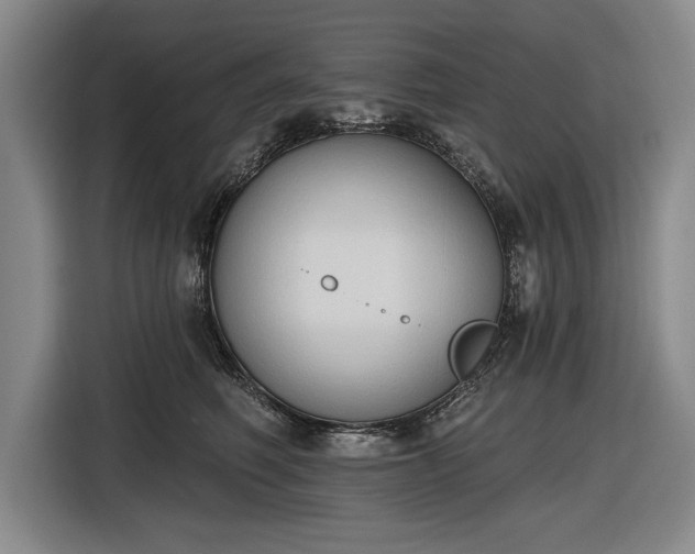 X0000116510614200912161340