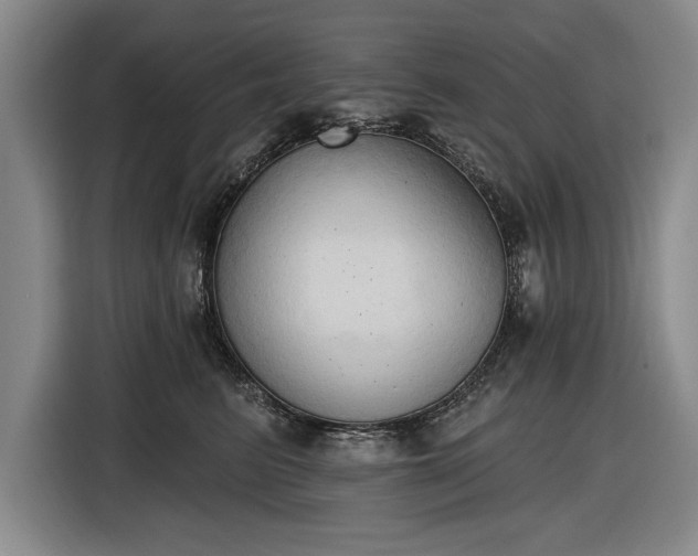 X0000116510615200912161340