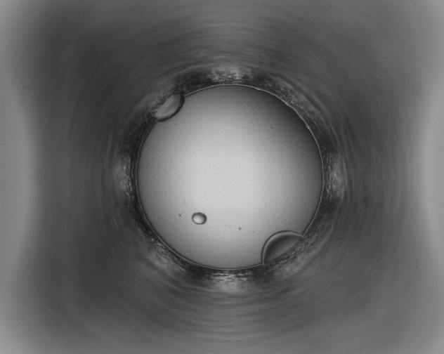 X0000116510616200912161340