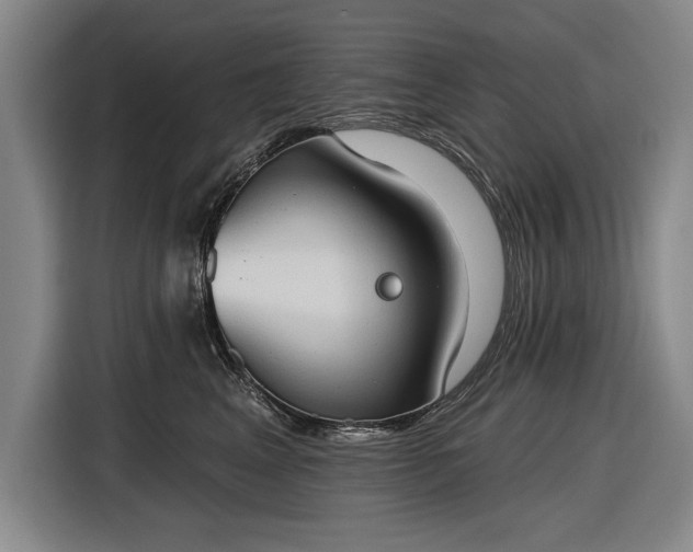 X0000116510617200912161340