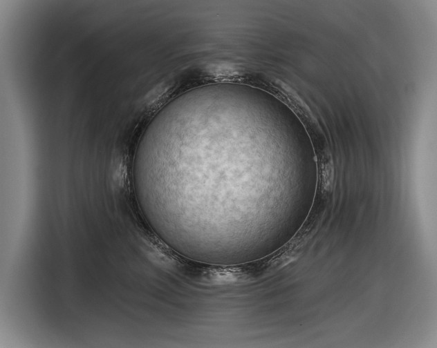 X0000116510618200912161340