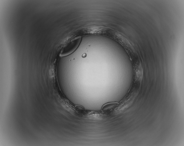 X0000116510620200912161340