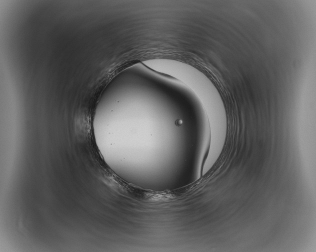 X0000116510621200912161340