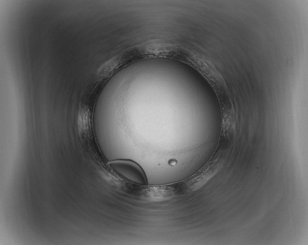 X0000116510623200912161340