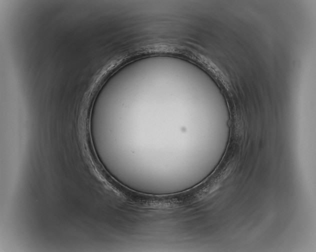 X0000116510625200912161339