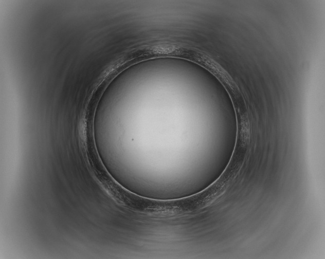 X0000116510626200912161339