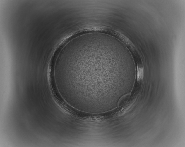 X0000116510627200912161339