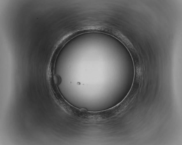 X0000116510628200912161339