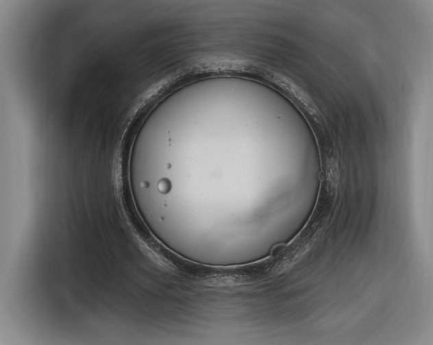 X0000116510629200912161339