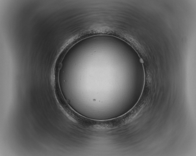 X0000116510630200912161339