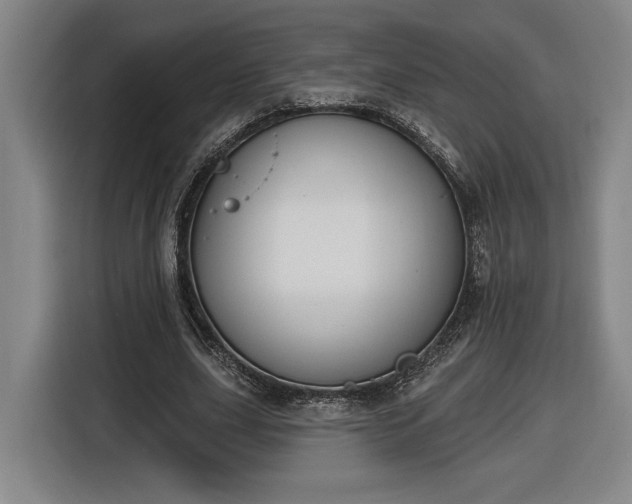 X0000116510631200912161339