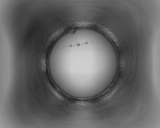 X0000116510633200912161339