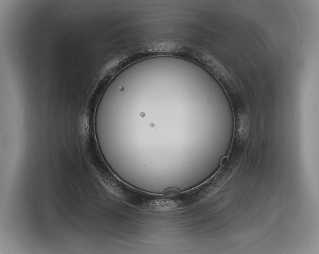 X0000116510636200912161339