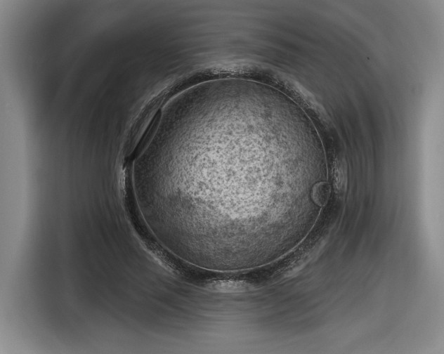 X0000116510637200912161339