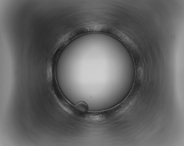 X0000116510638200912161339