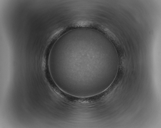 X0000116510640200912161339