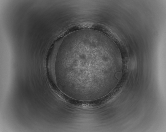 X0000116510641200912161339