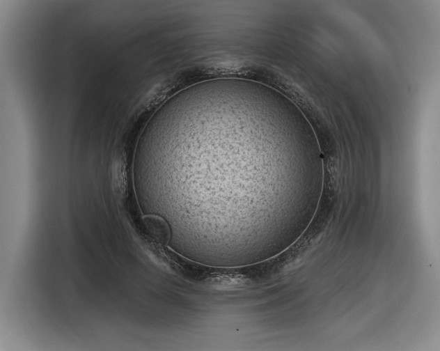 X0000116510642200912161339