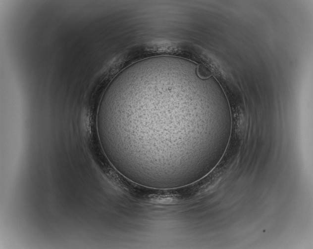 X0000116510643200912161339