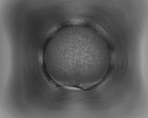 X0000116510644200912161339