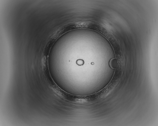 X0000116510649200912161339