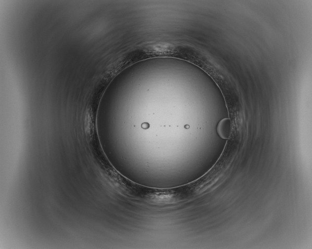 X0000116510651200912161339