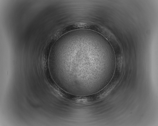 X0000116510653200912161339