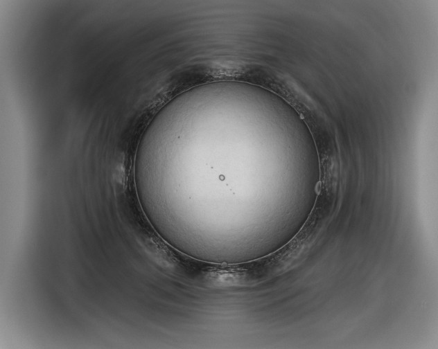 X0000116510655200912161339