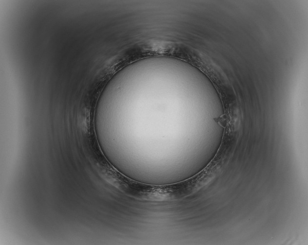 X0000116510656200912161339