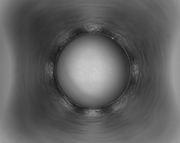 X0000116510664200912161340