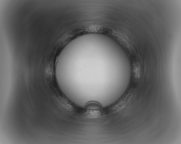 X0000116510665200912161340