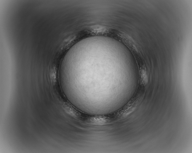 X0000116510668200912161340