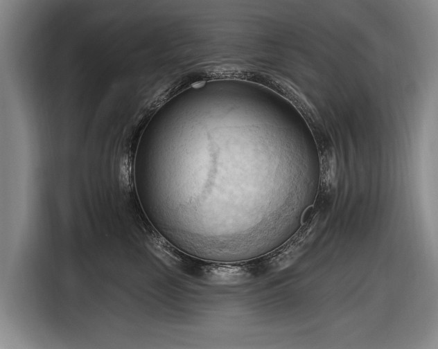 X0000116510669200912161340