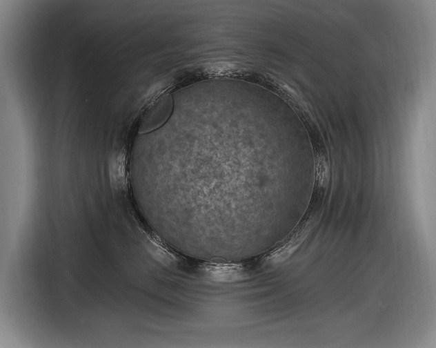 X0000116510670200912161340