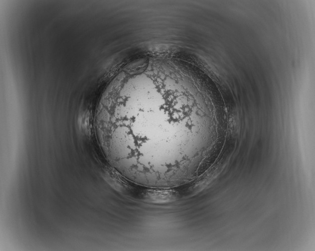 X0000116510671200912161340