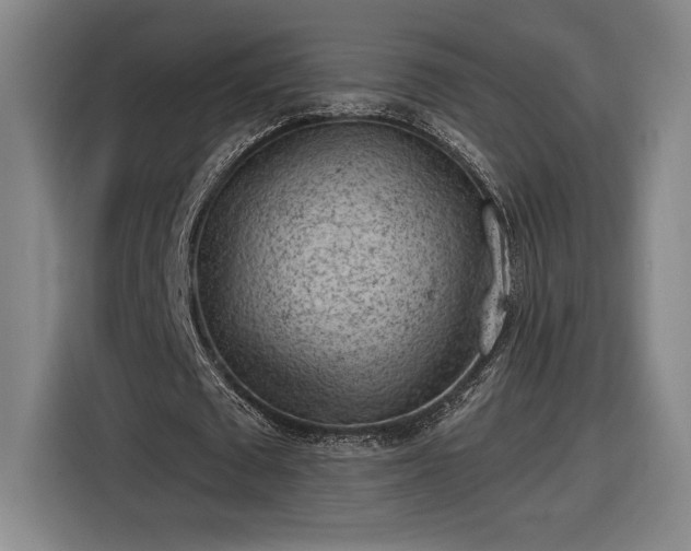 X0000116510673200912161339