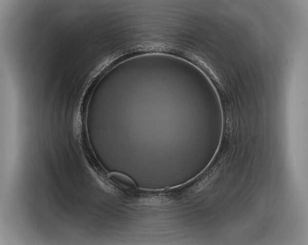 X0000116510674200912161339