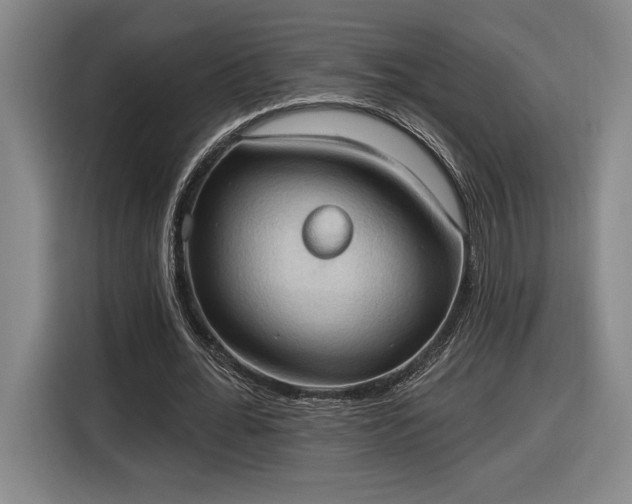 X0000116510676200912161339