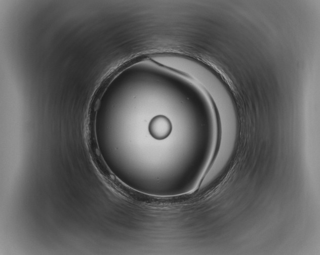 X0000116510677200912161339