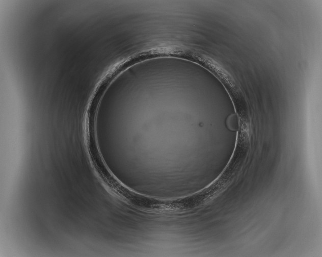 X0000116510678200912161339